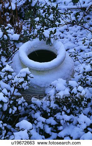 Close-up of snow on ceramic pot and shrubs in winter View Large Photo Image Stock Image - Close-up of snow on ceramic pot and shrubs in winter. Fotosearch