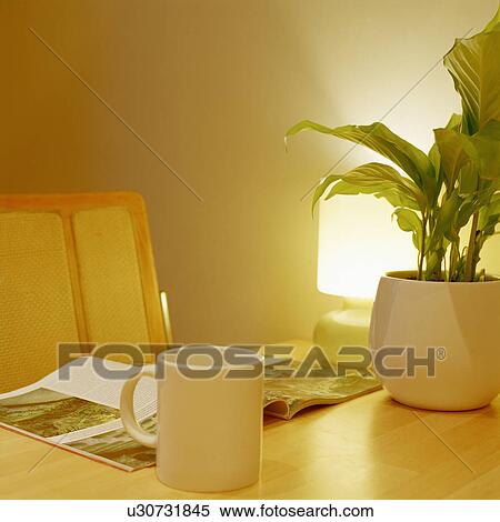 Stock Photography - Close up of white cup and green houseplant on table. Fotosearch