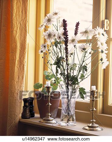 Close up of white daisies in glass vase on windowsill with brass candlestick and binoculars View Large Photo Image Stock Photo - Close up of white daisies in glass vase on windowsill with brass candlestick and binoculars. Fotosearch