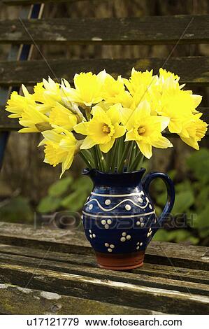 Stock Photo - Close-up of yellow daffodils in blue pottery jug. Fotosearch