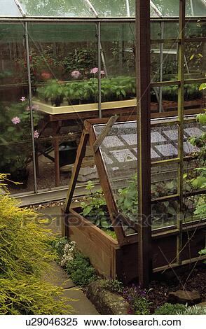 Coldframes inside greenhouse View Large Photo Image Stock Photography - Coldframes inside greenhouse. Fotosearch
