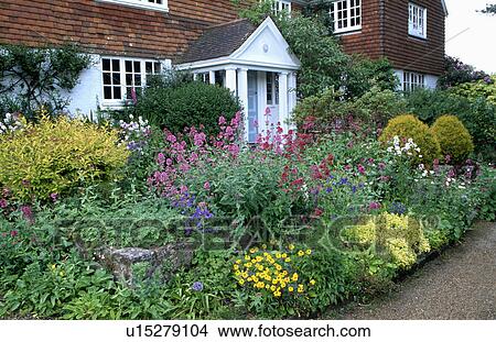Colourful flowering plants in garden of traditional country house in summer View Large Photo Image Picture - Colourful flowering plants in garden of traditional country house in summer. Fotosearch