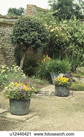 Colourful flowering summer plants in pots in country garden View Large Photo Image Stock Image - Colourful flowering summer plants in pots in country garden. Fotosearch