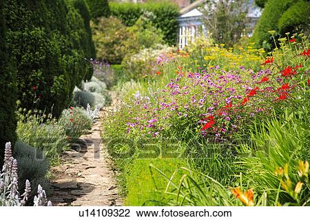 Colourful summer border beside path in English country garden View Large Photo Image Stock Image - Colourful summer border beside path in English country garden. Fotosearch