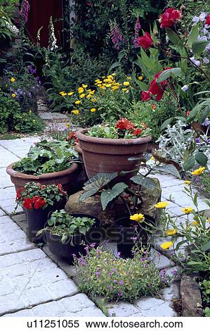 Stock Photography - Colourful summer plants in pots. Fotosearch
