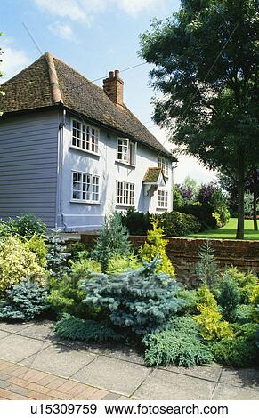 Stock Photo - conifer border in front of white house in the country. Fotosearch
