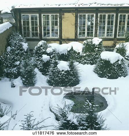 Stock Photograph - Conifers and circular pond in front garden of small country house in winter. Fotosearch