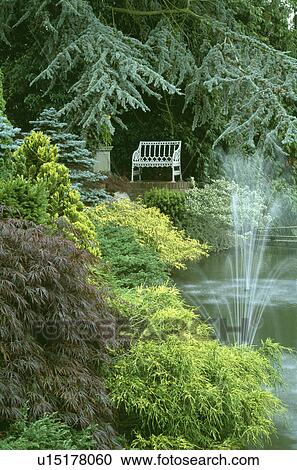 Stock Image - Conifers beside pond and fountain in country garden. Fotosearch