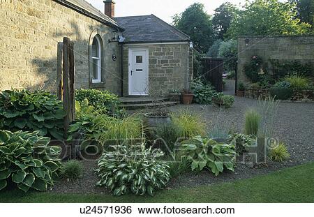 Stock Photograph - Courtyard garden with hostas. Fotosearch