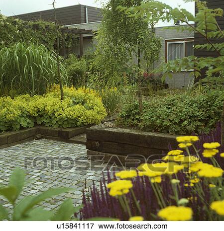 Stock Photo - Courtyard paved with sets and surrounded with raised beds planted with groundcover and perennials in yellow and green . Fotosearch