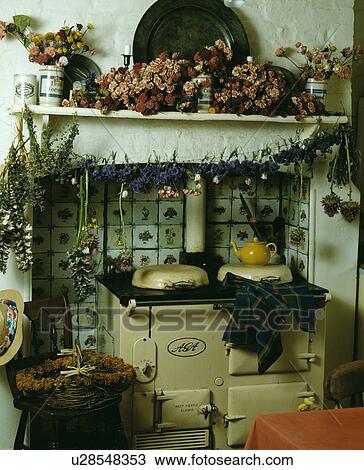 Stock Image - Dried flowers on shelf and on string above cream Aga in cottage kitchen. Fotosearch