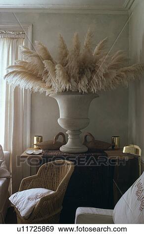 Dried pampas grasses in stone urn in taditional town living room View Large Photo Image Stock Photo - Dried pampas grasses in stone urn in taditional town living room. Fotosearch