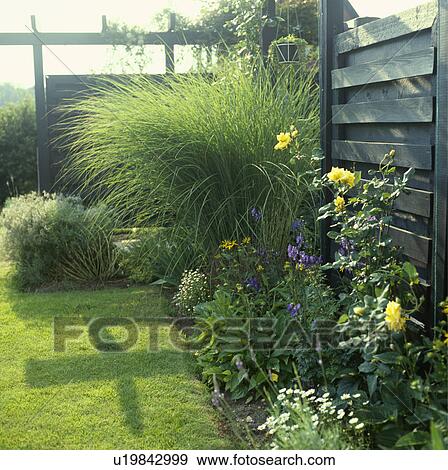Stock Photo - Fence in green country garden in summer. Fotosearch