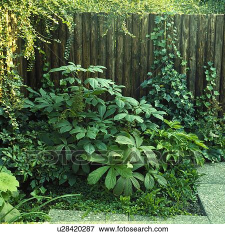 Stock Photo - Fence in green country garden in summer. Fotosearch