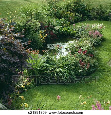 Stock Photo - Flowering plants around pond in country garden in summer. Fotosearch