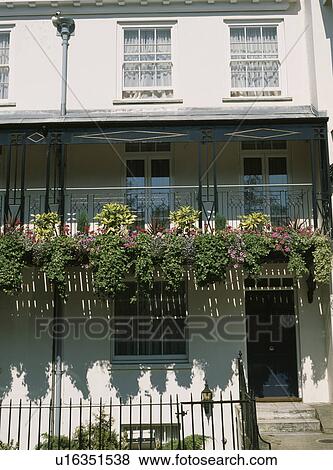 Stock Photo - Flowering plants on railings of balcony on traditional Victorian terraced townhouse. Fotosearch