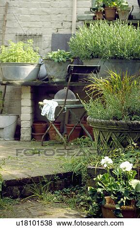 Folding garden chair and herbs growing in galvanized pots View Large Photo Image Stock Photo - Folding garden chair and herbs growing in galvanized pots . Fotosearch