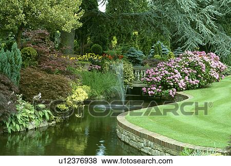 Fountains in large curved pond in formal country garden with pink hydrangeas and mown lawn View Large Photo Image Stock Photo - Fountains in large curved pond in formal country garden with pink hydrangeas and mown lawn. Fotosearch