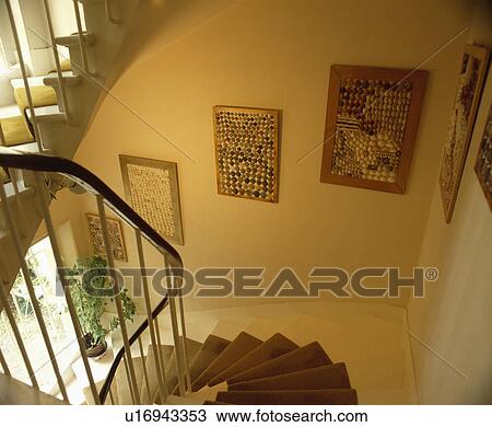 Framed seashell collage pictures on wall above white staircase with brown carpet View Large Photo Image Stock Image - Framed seashell collage pictures on wall above white staircase with brown carpet. Fotosearch