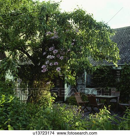 Furniture on patio in town garden in summer View Large Photo Image Picture - Furniture on patio in town garden in summer. Fotosearch