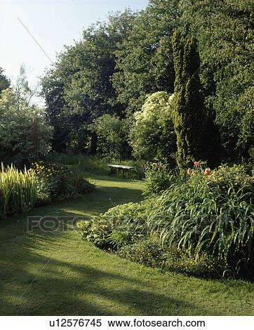 Grass pass through borders in summer country garden View Large Photo Image Stock Photography - Grass pass through borders in summer country garden. Fotosearch