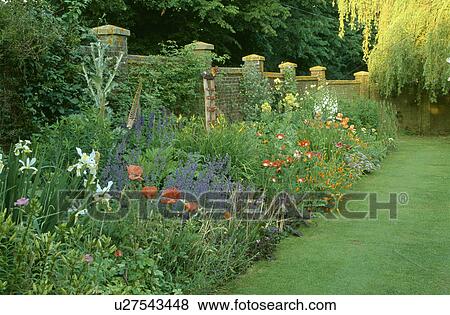 Stock Photo - Grass path and herbaceous borders in country garden in summer. Fotosearch