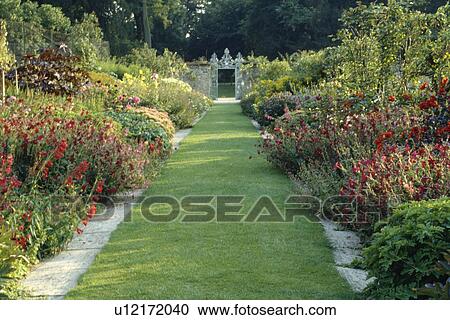 Grass path between flowering red plants in borders in large summer garden View Large Photo Image Stock Image - Grass path between flowering red plants in borders in large summer garden. Fotosearch
