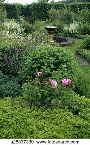 Stock Image - Grass path leading through scented herbs to circular pond in country garden. Fotosearch