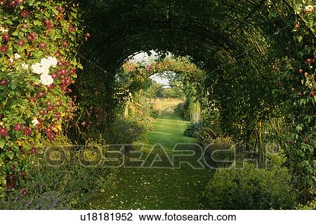 Stock Image - Grass path through arch with climbers in large country garden in summer. Fotosearch