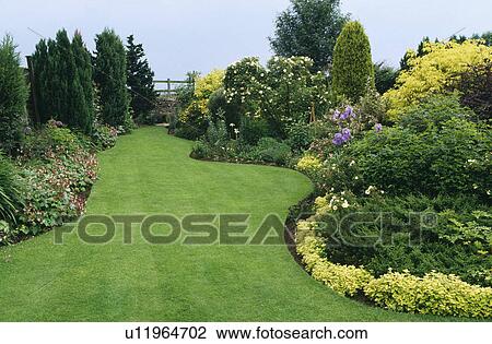Stock Image - Grass path with shrub borders with dark green and golden foliage conifers.. Fotosearch
