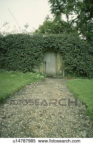 Gravel Path To Wooden Door In Walled Garden With Ivy Covered Wall Stock Photography U Fotosearch