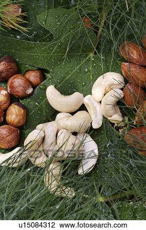Stock Image - green, nuts, food. Fotosearch