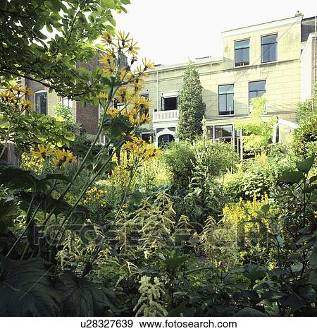 Green plants in wildflower garden in front of large traditional house View Large Photo Image Stock Photo - Green plants in wildflower garden in front of large traditional house. Fotosearch