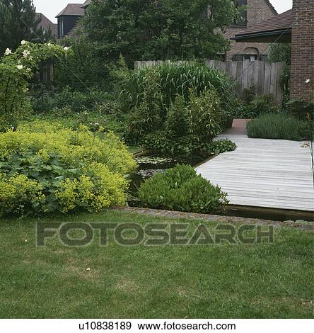green, pond, architectural, suburban, garden, fence, gardens View Large Photo Image Stock Photo - green, pond, architectural, suburban, garden, fence, gardens. Fotosearch