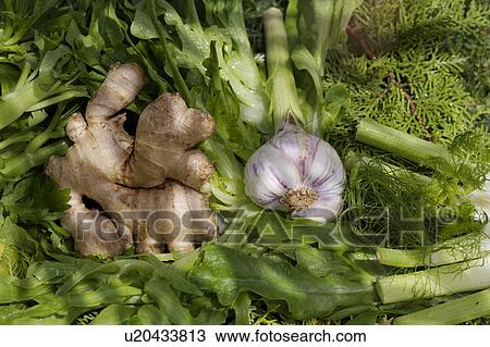 green, vegetable, food View Large Photo Image Stock Image - green, vegetable, food. Fotosearch