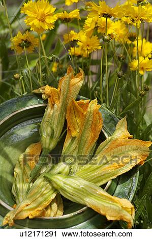green, yellow, vegetable, food View Large Photo Image Stock Image - green, yellow, vegetable, food. Fotosearch