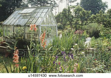 Greenhouse in large country garden in summer View Large Photo Image Stock Image - Greenhouse in large country garden in summer. Fotosearch