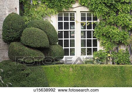 Stock Image - hedges, topiary, formal, gardens. Fotosearch
