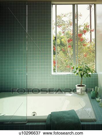 Stock Photo - Houseplant on bath below windows in modern turquoise tiled bathroom. Fotosearch