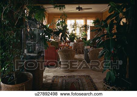 Stock Photo - Houseplants in sixties living room. Fotosearch