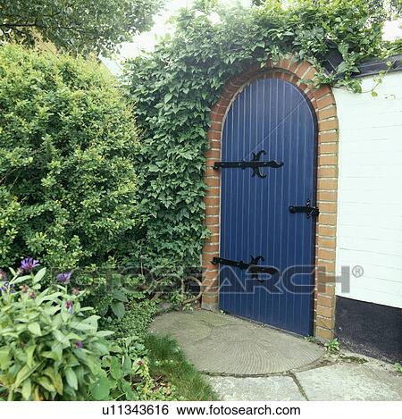 Stock Photograph - Ivy above blue door in walled garden. Fotosearch