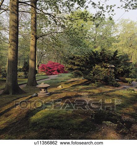 Japanese stone lanterns in large woodland garden in spring View Large Photo Image Stock Image - Japanese stone lanterns in large woodland garden in spring. Fotosearch