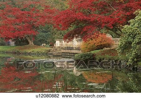 Stock Image - Lake in large country garden in Autumn. Fotosearch