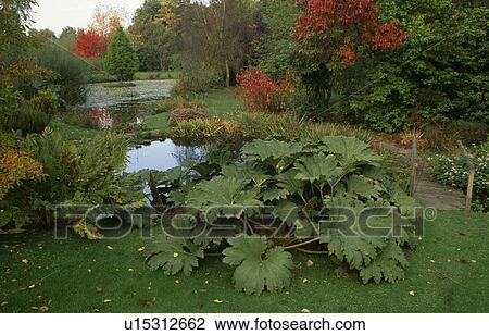 Stock Image - Lake in large country garden in Autumn. Fotosearch