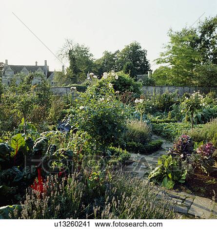 Large country potager garden in summer View Large Photo Image Stock Image - Large country potager garden in summer. Fotosearch