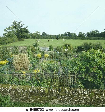 Large country vegetable garden in summer View Large Photo Image Stock Image - Large country vegetable garden in summer. Fotosearch