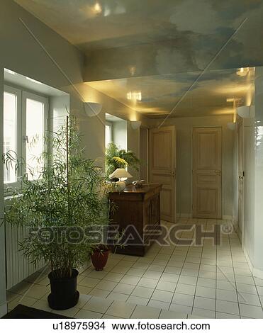 Large houseplant in hall with white tiled floor and paint effect trompe l'oeil ceiling View Large Photo Image Picture - Large houseplant in hall with white tiled floor and paint effect trompe l'oeil ceiling. Fotosearch