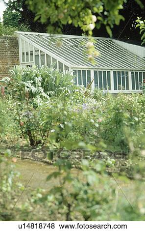 Stock Photo - Large old greenhouse constructed in walled garden.. Fotosearch