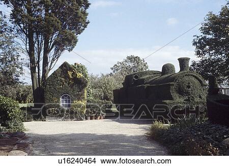 Large topiary train beside garden building covered with ivy View Large Photo Image Picture - Large topiary train beside garden building covered with ivy. Fotosearch