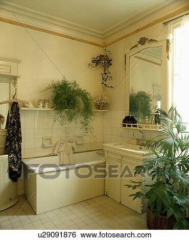 Stock Photograph - Large traditional white bathroom with plants. Fotosearch